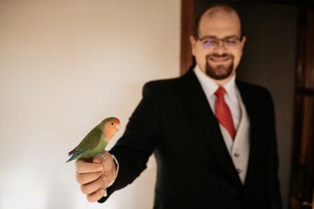 La boda de Julio y Elena en Madrid