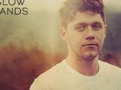 Niall Horan publica lyric video single ‘Slow Hands’