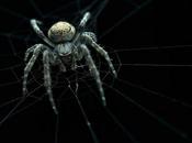 CIERRES OJOS: Primer Caso Lizzy Gardner