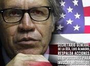 criminalidad oposición venezolana injerencia extranjera.