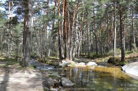 La Granja de San Ildefonso y el Camino de las Pesquerías Reales