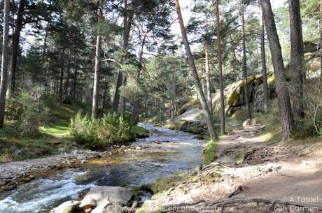 La Granja de San Ildefonso y el Camino de las Pesquerías Reales