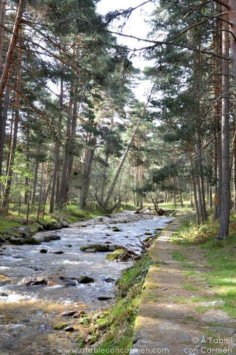 La Granja de San Ildefonso y el Camino de las Pesquerías Reales