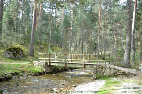 La Granja de San Ildefonso y el Camino de las Pesquerías Reales