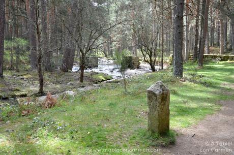 La Granja de San Ildefonso y el Camino de las Pesquerías Reales