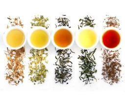 Las diferentes tipologías de infusiones y tés en hostelería