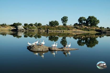 Ruta por la provincia de Cáceres: ¿Qué ver en Malpartida de Cáceres?