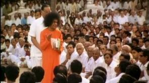 Los videos de Path of Transformation Los videos de Path of Transformation