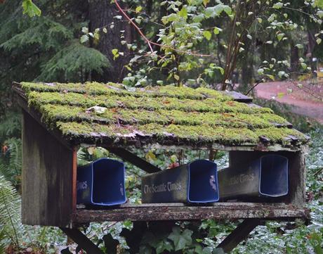 Seattle: la ciudad rodeada de bosque