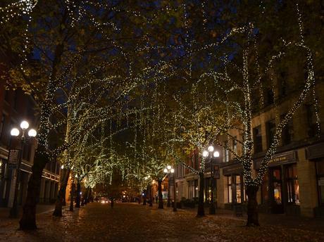 Seattle: la ciudad rodeada de bosque