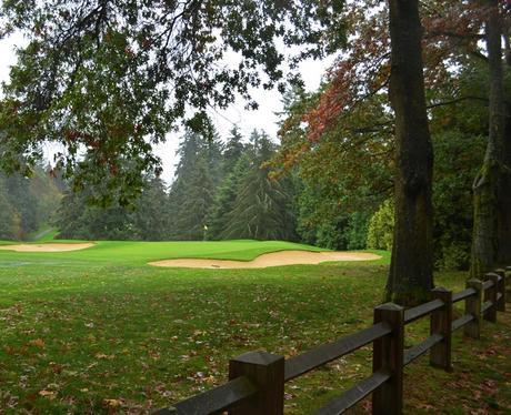 Seattle: la ciudad rodeada de bosque