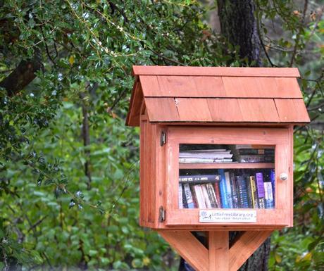 Seattle: la ciudad rodeada de bosque