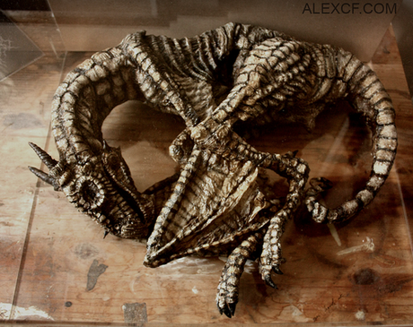 Draco Alatus (Dragón) Foto: merrylinmuseum.com