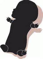 La huella de una carta de Rosario Raro (Planeta, 23 de mayo de 2017)