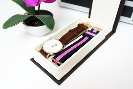 Reloj Classy St Mawes y correa Winchester de Daniel Wellington