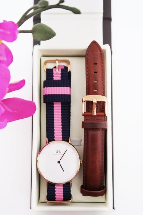 Reloj Daniel Wellington con correa Winchester y St Mawes