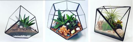 Extraterrarium (8)