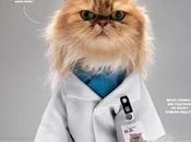 resumen jardín sonoro