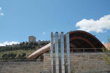 BODEGAS PROTOS, UN MUST EN LA RIBERA DEL DUERO