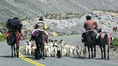 Trastos y “vicios”: el sostén para el viaje de los arrieros