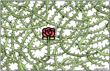 [Humor en cápsulas] Para hoy domingo, 21 de mayo de 2017