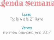 Agenda Semanal 22/05 28/05