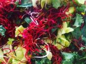 Ensalada germinados