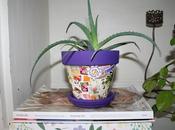Diy: decorar maceta sellos decoupage