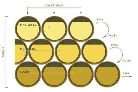 CONSEJOS REGULADORES DEL MARCO DEL JEREZ: Seminario de introducción a los vinos de Bodegas González Byass e iniciación a la técnica de análisis sensorial