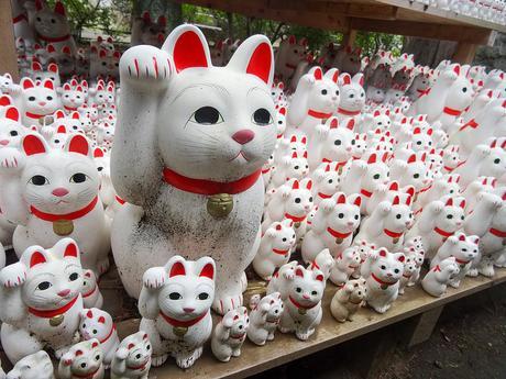 Maneki Neko, el gato de la suerte