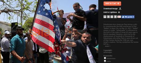 Palestinos queman banderas USA para recibir a Trump.