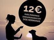 Edición Curso básico adiestramiento canino