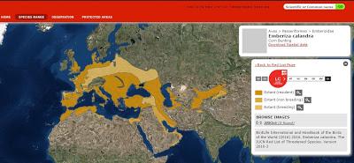 Observando trigueros