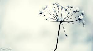 Salvando las distancias