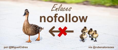 Enlaces nofollow: ¡no los desaproveches!