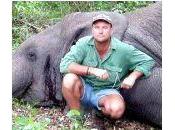 Justicia poética. Elefante herido aplasta cazador