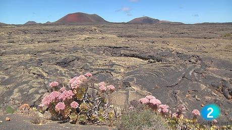 TVE Geoparque Lanzarote