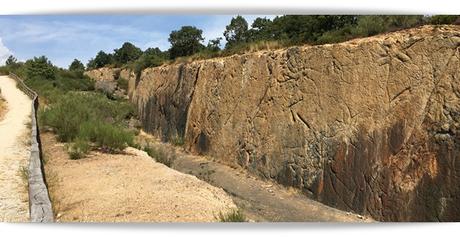 El bosque fósil de Verdeña