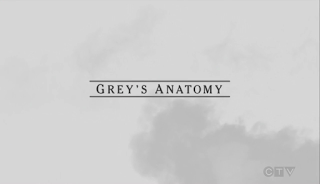 El corazón de Meredith Grey