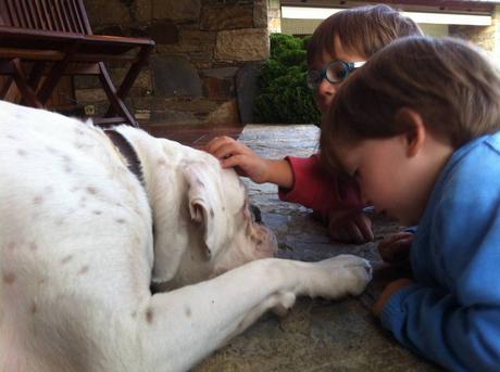 SITIOS PARA IR CON PERROS Y CON NIÑOS