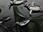 Punta Tombo (noviembre 2016)