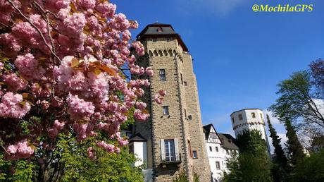 Ruta por el valle del Rin: De Coblenza a Wiesbaden, Worms y el monasterio de Maulbronn (con autocaravana)