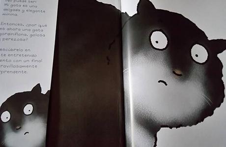 ¿Es esa mi gata? –  Jonathan Allen