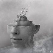 Desnutrición cultural