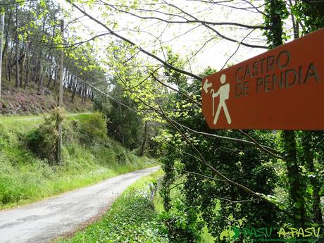 Ruta de los Castros: De Hervededo a Pendia