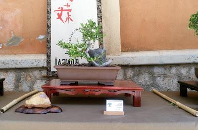 Exposicion en las fiestas del barri de Sant Pere 2017