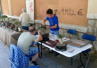 Exposicion en las fiestas del barri de Sant Pere 2017