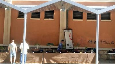 Exposicion en las fiestas del barri de Sant Pere 2017