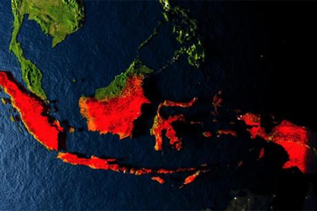 Encuentran gigantesco “monstruo” marino en #Indonesia