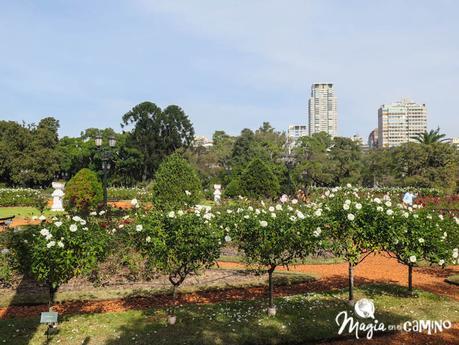 El Rosedal en los Bosques de Palermo, un oasis en la ciudad